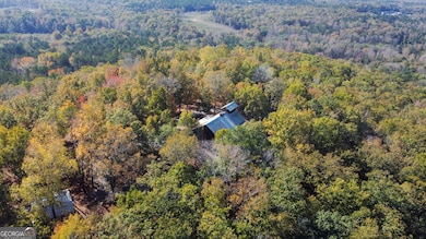 739 Barnes Mill Rd, Hamilton, GA 31811 - photo 2