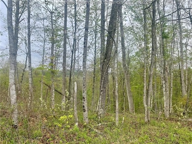 0 Siniaville Rd unit 281379, Ripley, WV 25271 - photo 6