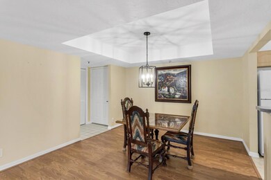 Parkland Condominiums unit 204, Tampa, FL 33609 - photo 3