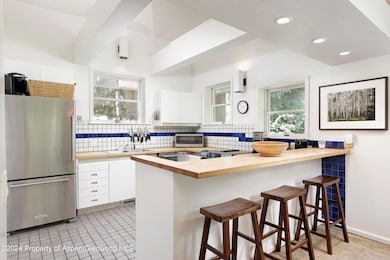 1500 S Ute Ave, Aspen, CO 81611 - photo 3