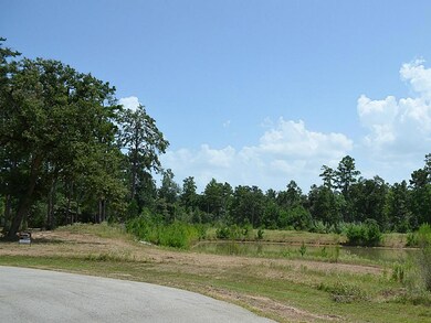 29026 Village Ridge Ct, Magnolia, TX 77355 - photo 4