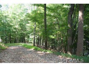 1218 Kanawa Ln unit 123, Arden, NC 28704 - photo 3