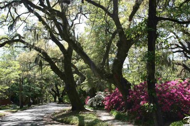 332 Copperwood Loop unit Sand Dollar, Conway, SC 29526 - photo 6