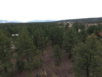 DJI_0018