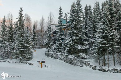 PICTURE  POSTCARD  SETTING