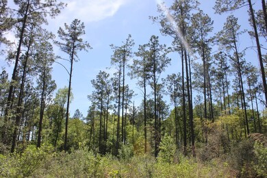 00 Hwy 103w, Lufkin, TX 75904 - photo 5