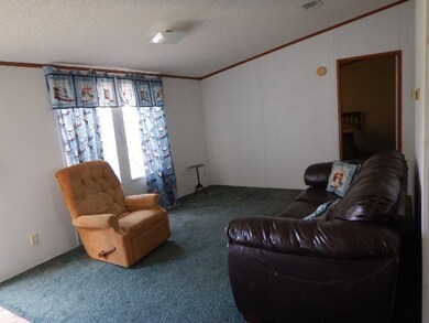 406 2nd St W, Steinhatchee, FL 32359 - photo 2