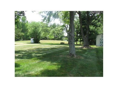 view of rear yard