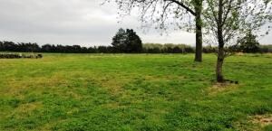 1817 Rains Rd, Harrison, AR 72601 - photo 7