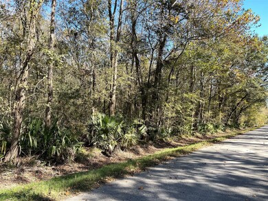 0 Lyric Rd, Conroe, TX 77302 - photo 2