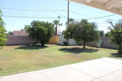 Huge backyard