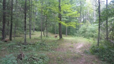 2648 W 1st St, Baldwin, MI 49304 - photo 7