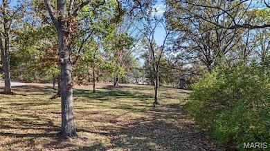 View of grassy yard with view of wooded area