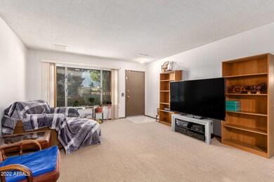 9827 W Wrangler Dr, Sun City, AZ 85373 - photo 6