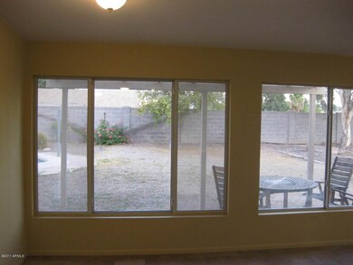 Back yard
