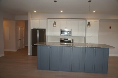 99 Moody St unit PH 10, Waltham, MA 02453 - photo 4