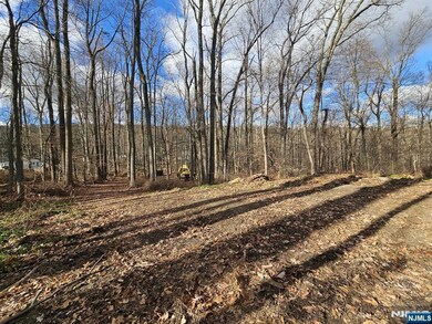 34 Starlight Dr, Morristown, NJ 07960 - photo 7