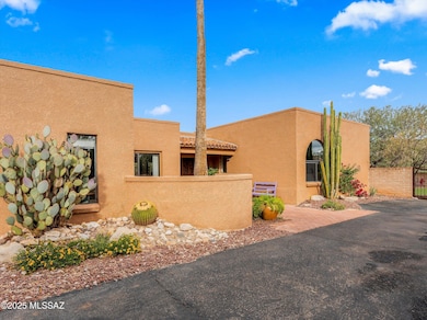 4742 N Paseo Sonoyta, Tucson, AZ 85750 - photo 6