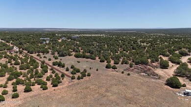 DJI_20240706114232_0033_D