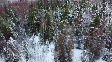 17881 Sterling Hwy, Cooper Landing, AK 99572 - photo 4