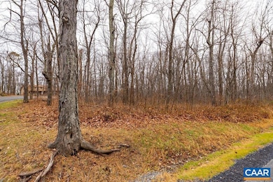 559 Laurel Springs Dr unit PRYOR CAMP II 24, Roseland, VA 22967 - photo 2