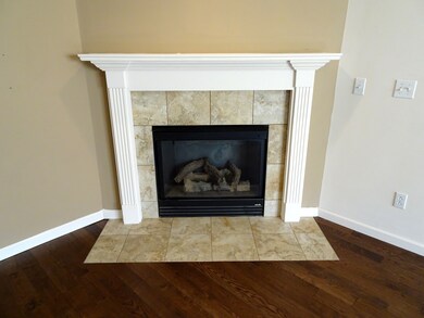 Living Room fireplace