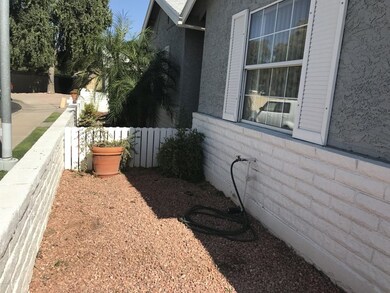 Front Yard
