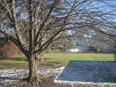 Yard/Garden