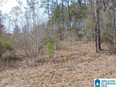0 County Road 329 unit 21380236, Wedowee, AL 36278 - photo 2