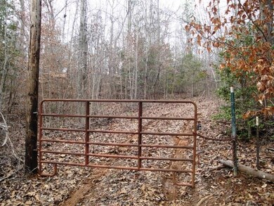 Lot Q-2 the Bear Blvd, Tamassee, SC 29686 - photo 3