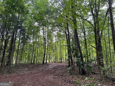 0 Bush St unit 10582678, Barnesville, GA 30204 - photo 4