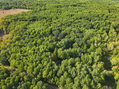 4314 Adams Rd, Lake, MI 48632 - photo 2