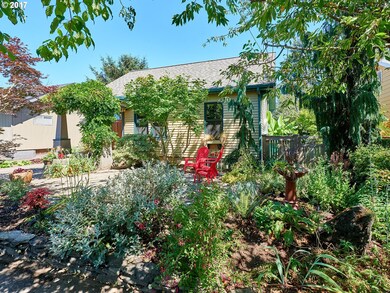 Front Yard