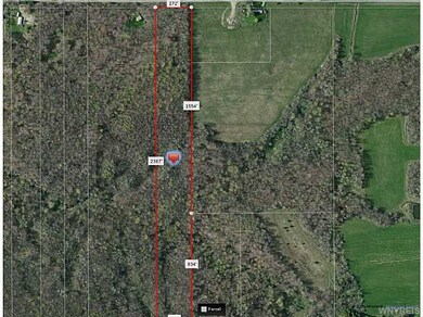 9789 Dow Rd, Freedom, NY 14065 - photo 2