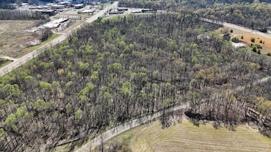 Bird's eye view featuring a rural view and a fores