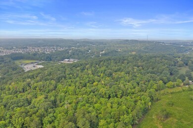 09-DJI_0249