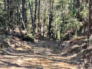 - Airport Ln, Crosby, MS 39633 - photo 2