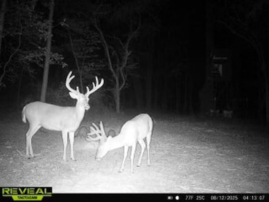 Tbd, Fouke, AR 71837 - photo 3