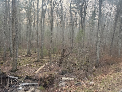 147 Kelly Rd, Dayville, CT 06241 - photo 3