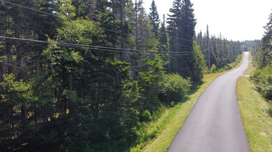 34 Yoho Head Rd, MacHiasport, ME 04655 - photo 2