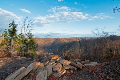 0 Parsons Dr, Mullens, WV 25882 - photo 5