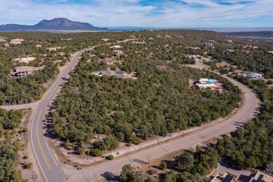 3 Blue Gramma Ct, Woodlands, NM 87059 - photo 6