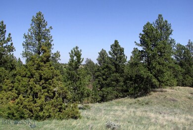 TBD Lone Rock Canyon Ln unit SC-28, Hysham, MT 59076 - photo 6