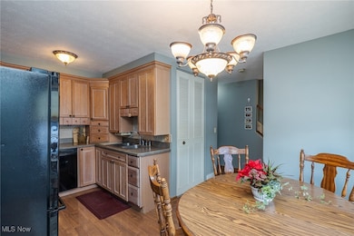 1132 N Carpenter Rd, Brunswick, OH 44212 - photo 6