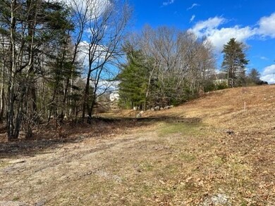 19 Bancroft Rd, Londonderry, NH 03053 - photo 4