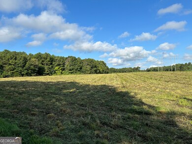 0 Popham Rd unit 10587111, Taylorsville, GA 30178 - photo 5