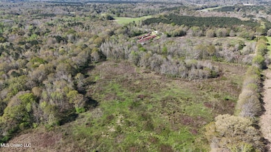 DJI_20240330101917_0061_D