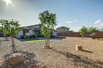 Backyard 3
