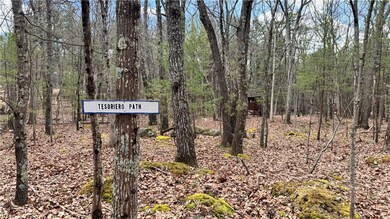Lot 18.3 Treetops Trail, Mamakating, NY 12721 - photo 2