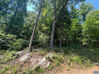 0 Barrow Ln unit 655216, Stanardsville, VA 22973 - photo 4